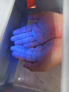 手洗い実験　～食品衛生学実習～